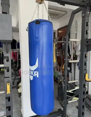 Hanging Punching Bag