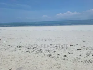 30 Acres Beach Plot for Sale at Zanzibar