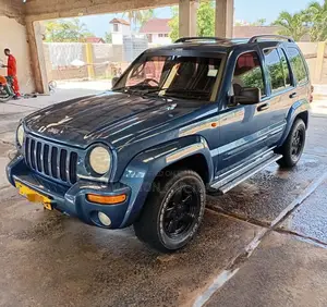 Jeep Liberty 2008 Blue
