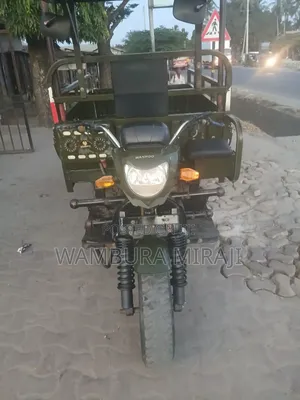 New Bajaj Avenger 200 2024 Green