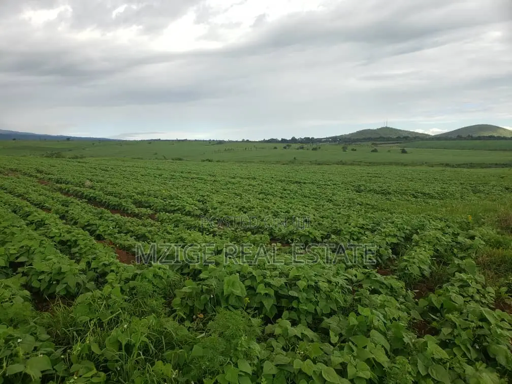 756 Acres Farm Within the Wildlife Corridor 4 Sale in West Kilimanjaro