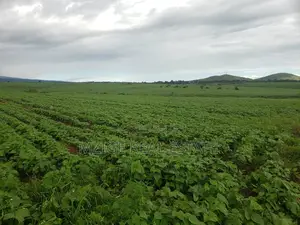 756 Acres Farm Within the Wildlife Corridor 4 Sale in West Kilimanjaro
