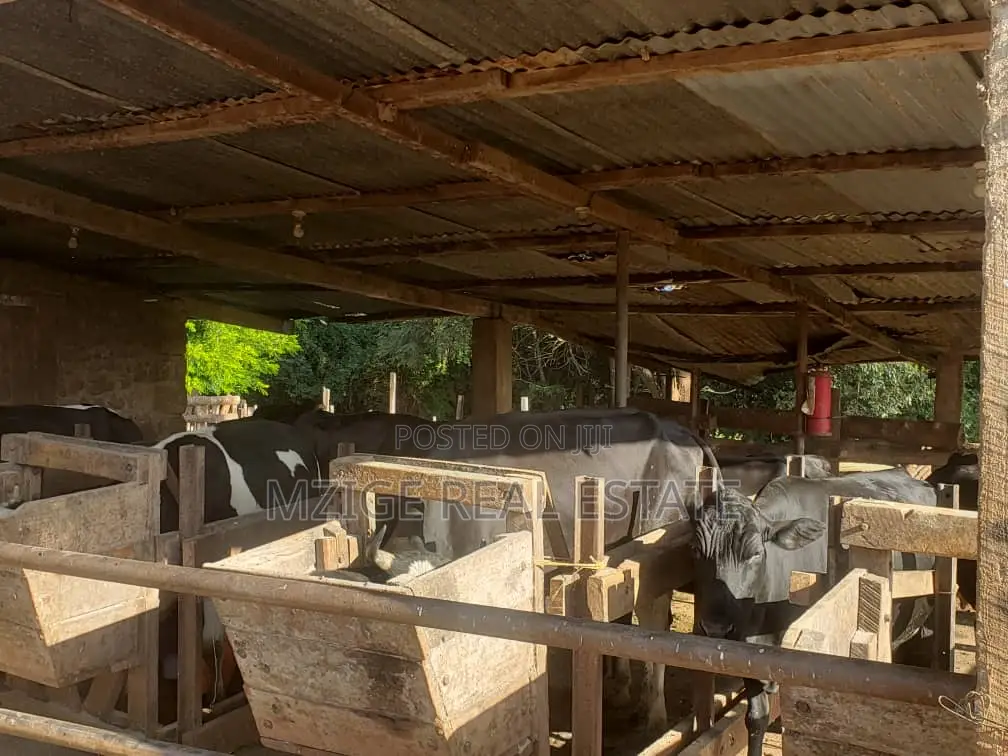 756 Acres Farm Within the Wildlife Corridor 4 Sale in West Kilimanjaro