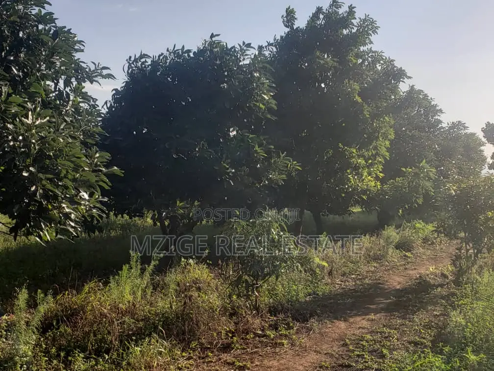 756 Acres Farm Within the Wildlife Corridor 4 Sale in West Kilimanjaro