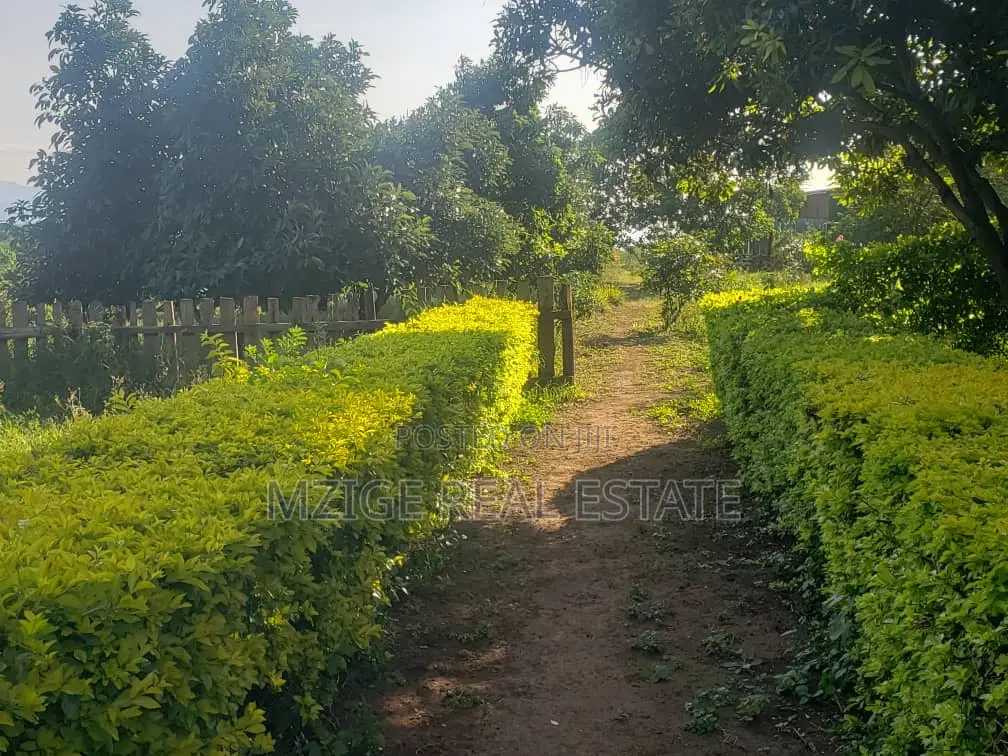756 Acres Farm Within the Wildlife Corridor 4 Sale in West Kilimanjaro