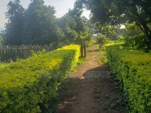 756 Acres Farm Within the Wildlife Corridor 4 Sale in West Kilimanjaro