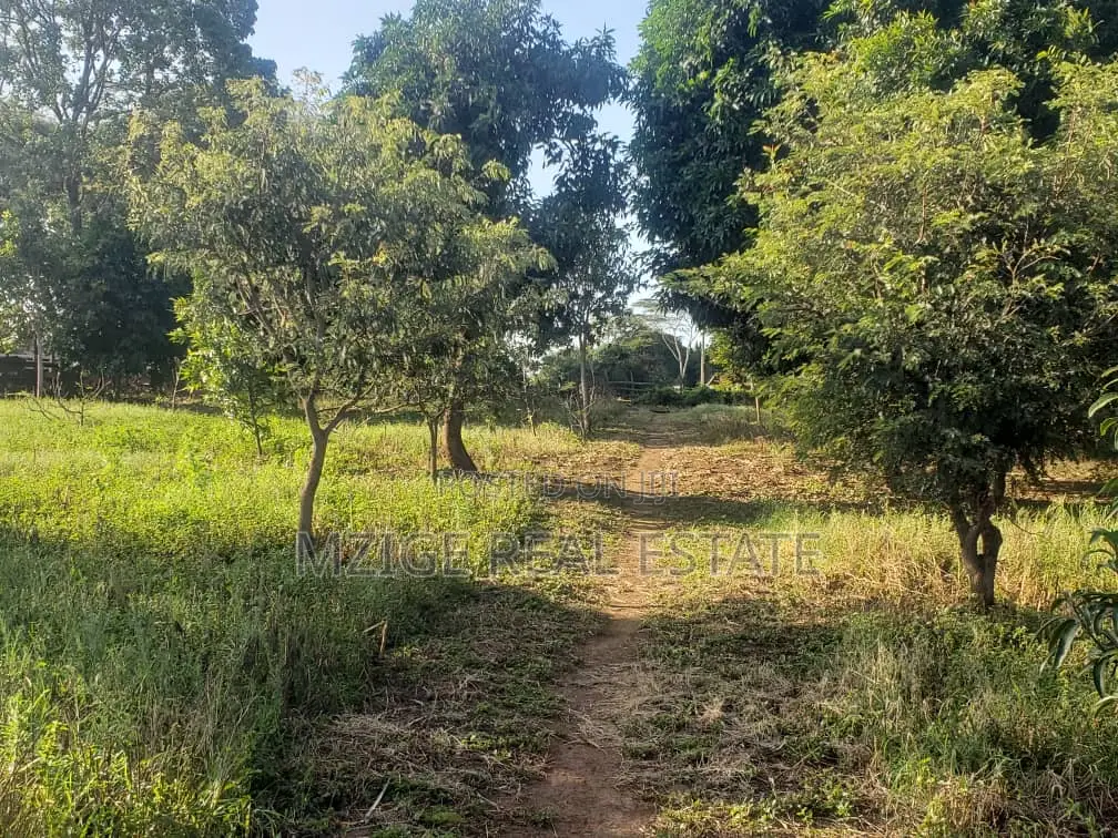756 Acres Farm Within the Wildlife Corridor 4 Sale in West Kilimanjaro