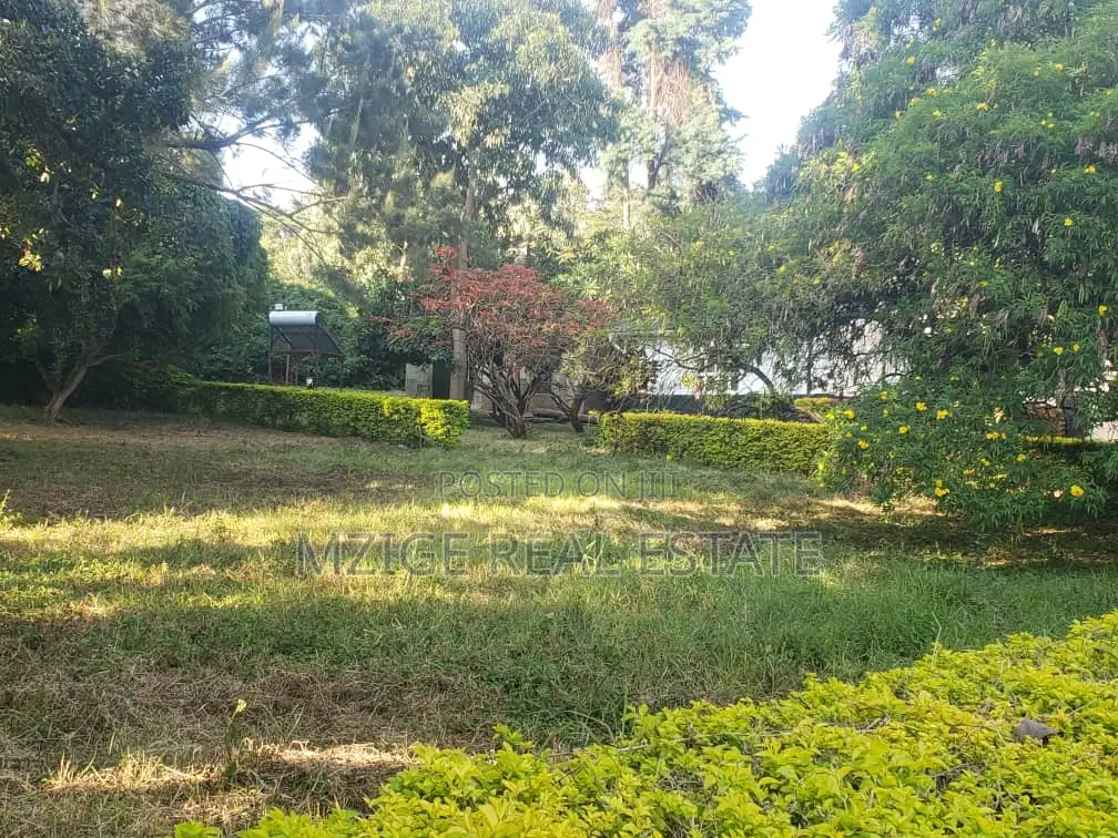 756 Acres Farm Within the Wildlife Corridor 4 Sale in West Kilimanjaro