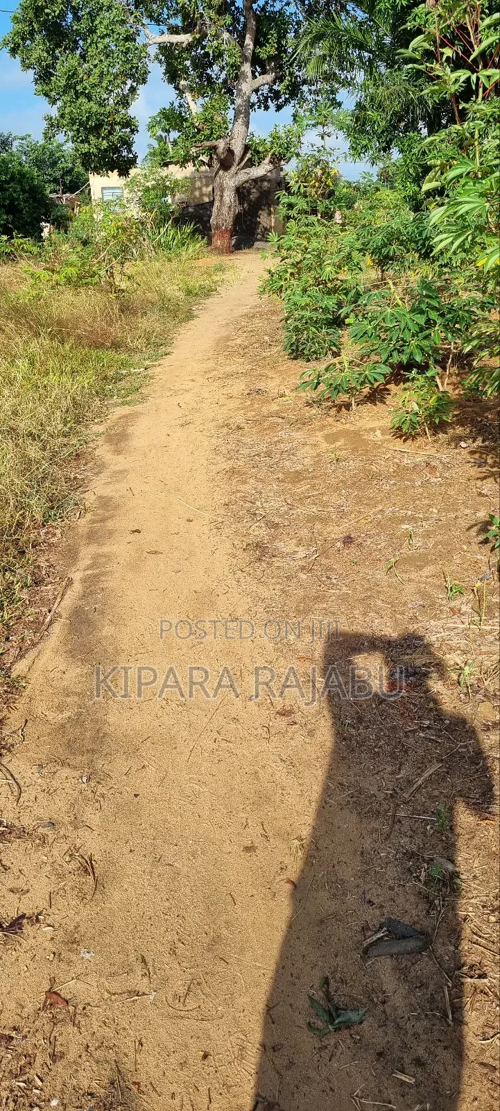 Kiwanja Kinauzwa Kiwangwa Bago