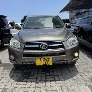 Toyota RAV4 2009 Beige