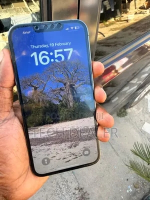 Apple iPhone 13 Pro 256 GB Gray