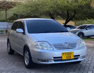Toyota Allex 2005 Silver