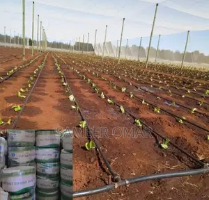 Drip Tape Irrigation System