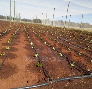 Drip Tape Irrigation System