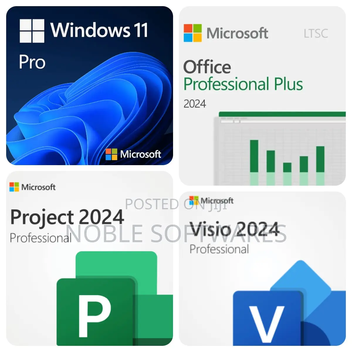 Microsoft Windows 11 Pro + Microsoft Office 2024 Professional Plus