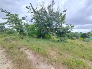 Plot for Sale at Kinyerezi Songs 1300 SQM