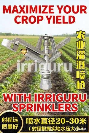 Sprinkler Ya Umwagiliaji Wa Viwanja