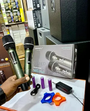 Shengfu Professional Rechargable Mic
