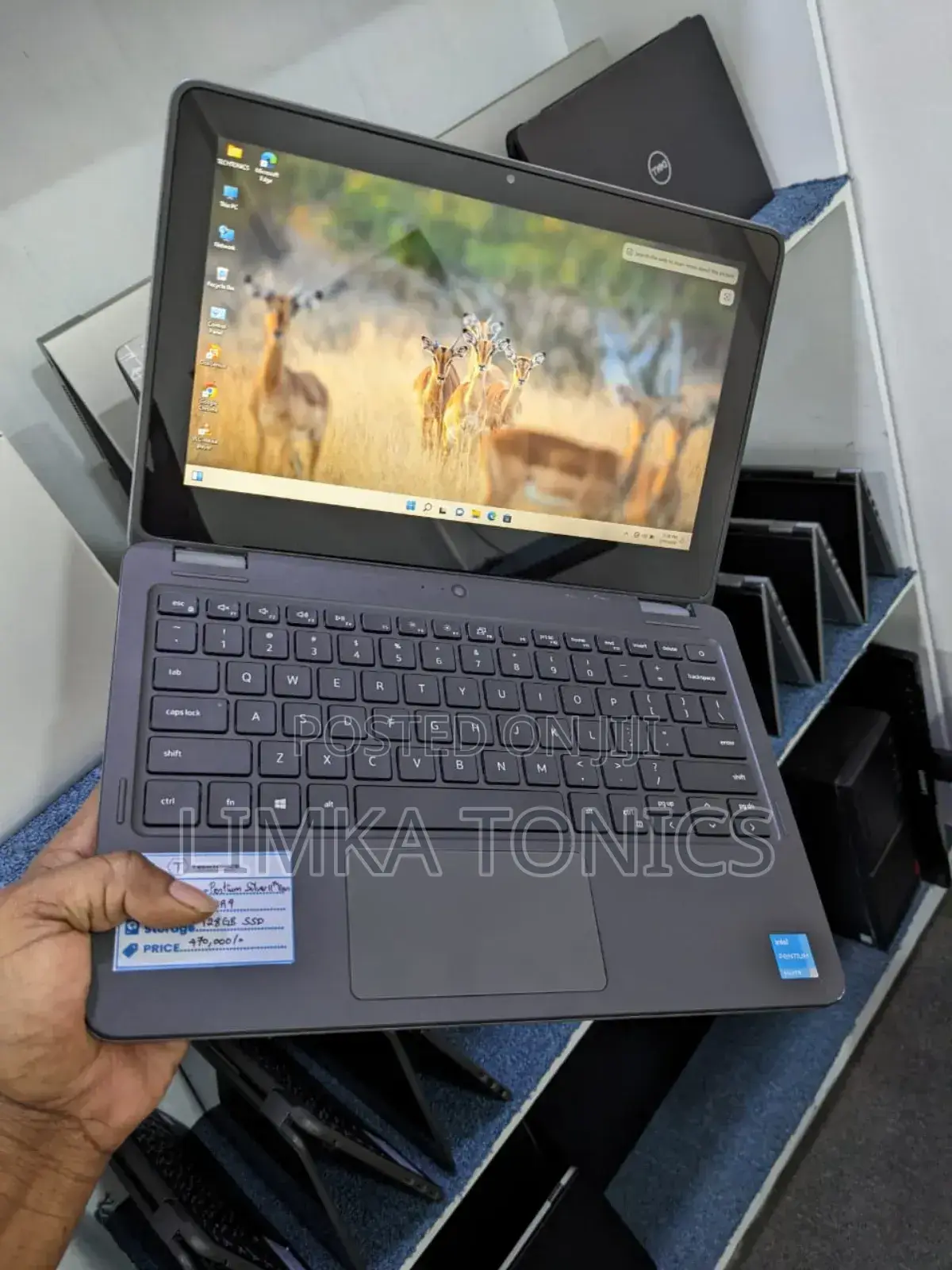 New Laptop Dell Latitude 3120 8GB Intel Pentium SSD 128GB