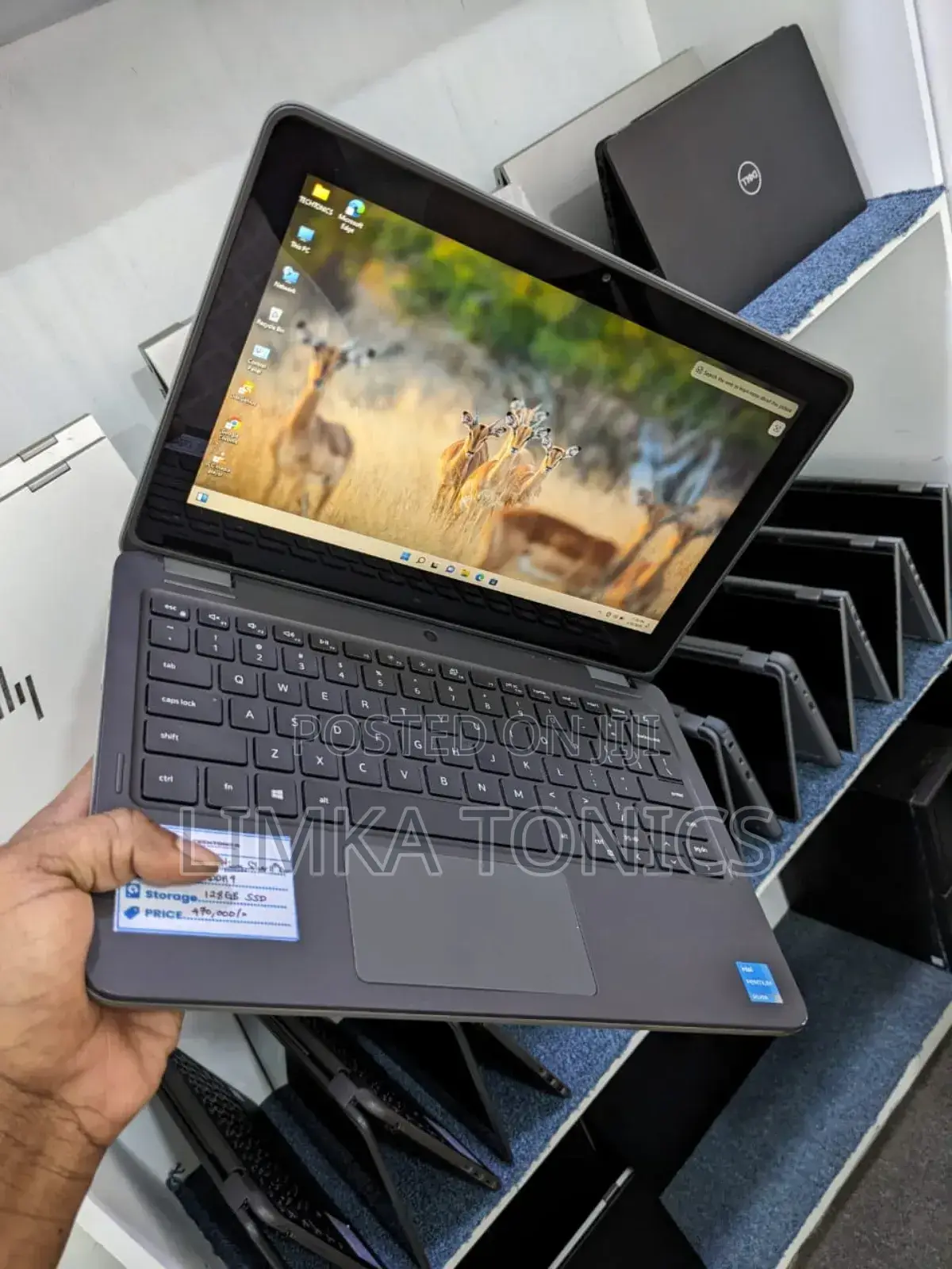 New Laptop Dell Latitude 3120 8GB Intel Pentium SSD 128GB