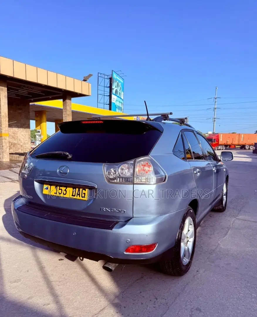 Lexus RX 300 2003 Blue