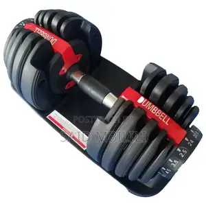 24kg Adjustable Dumbbell (Single - Spin Lock)