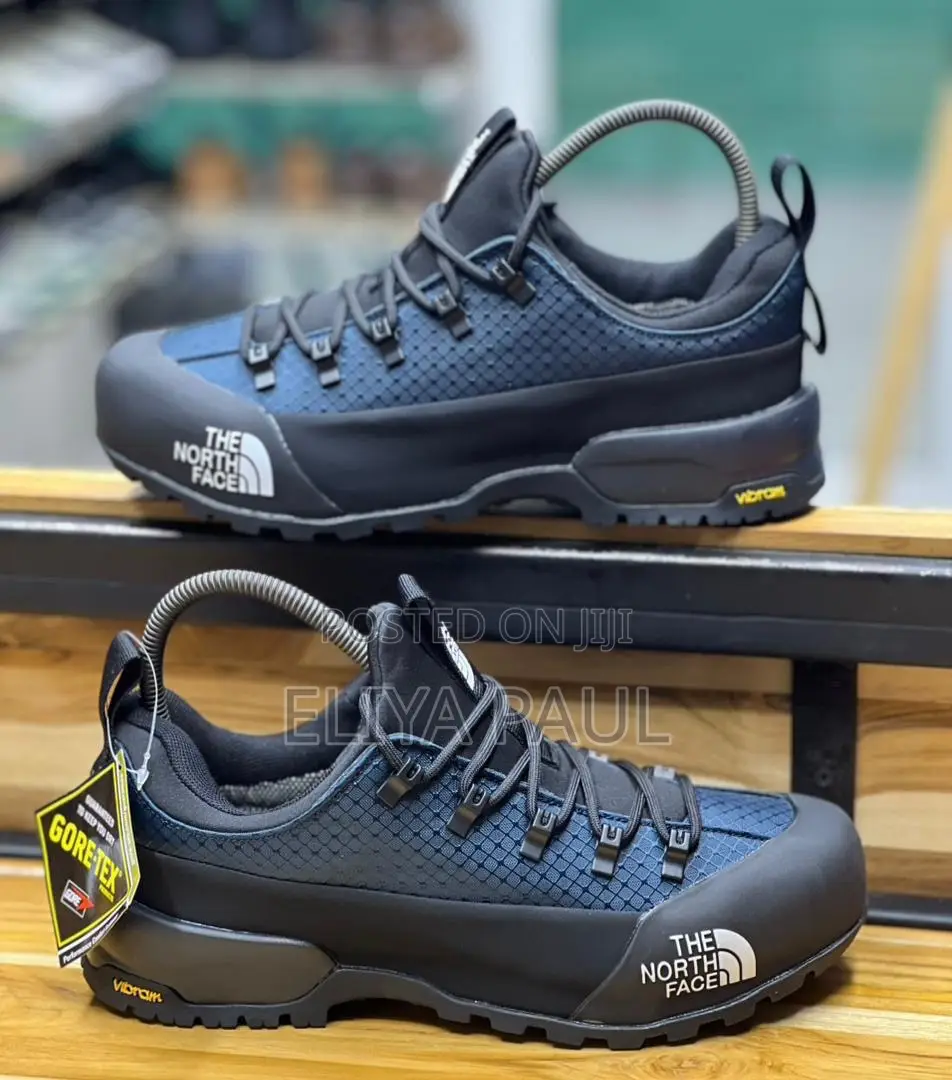 Northface Hedgehog Gore Tex