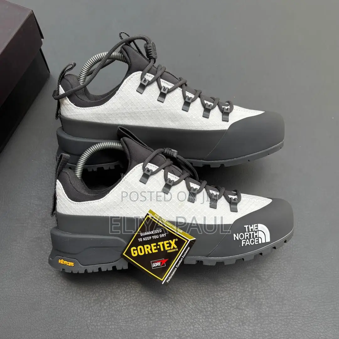 Northface Hedgehog Gore Tex