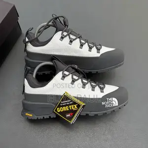 Northface Hedgehog Gore Tex