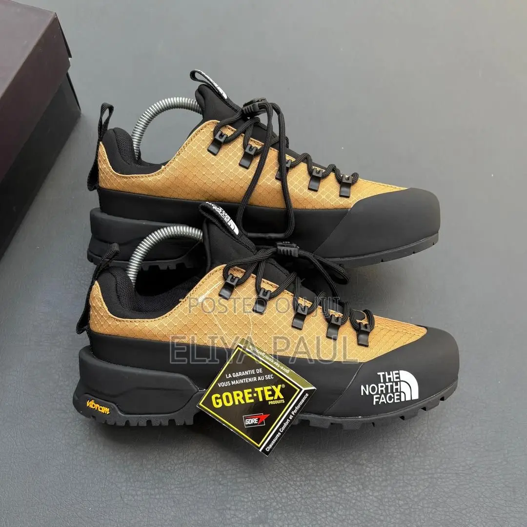 Northface Hedgehog Gore Tex