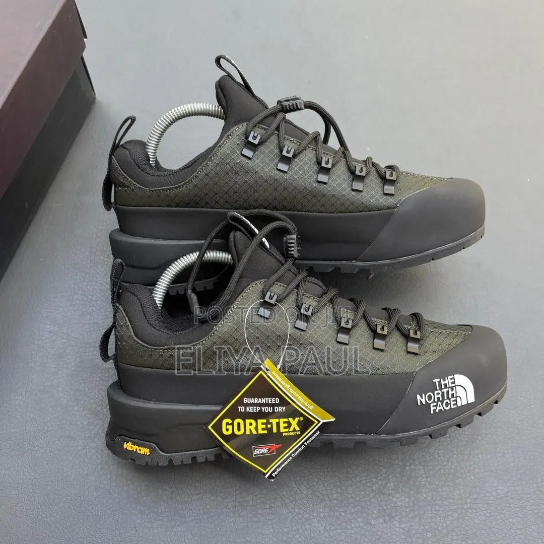 Northface Hedgehog Gore Tex