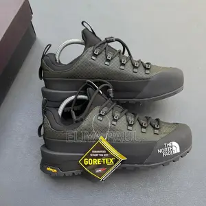 Northface Hedgehog Gore Tex