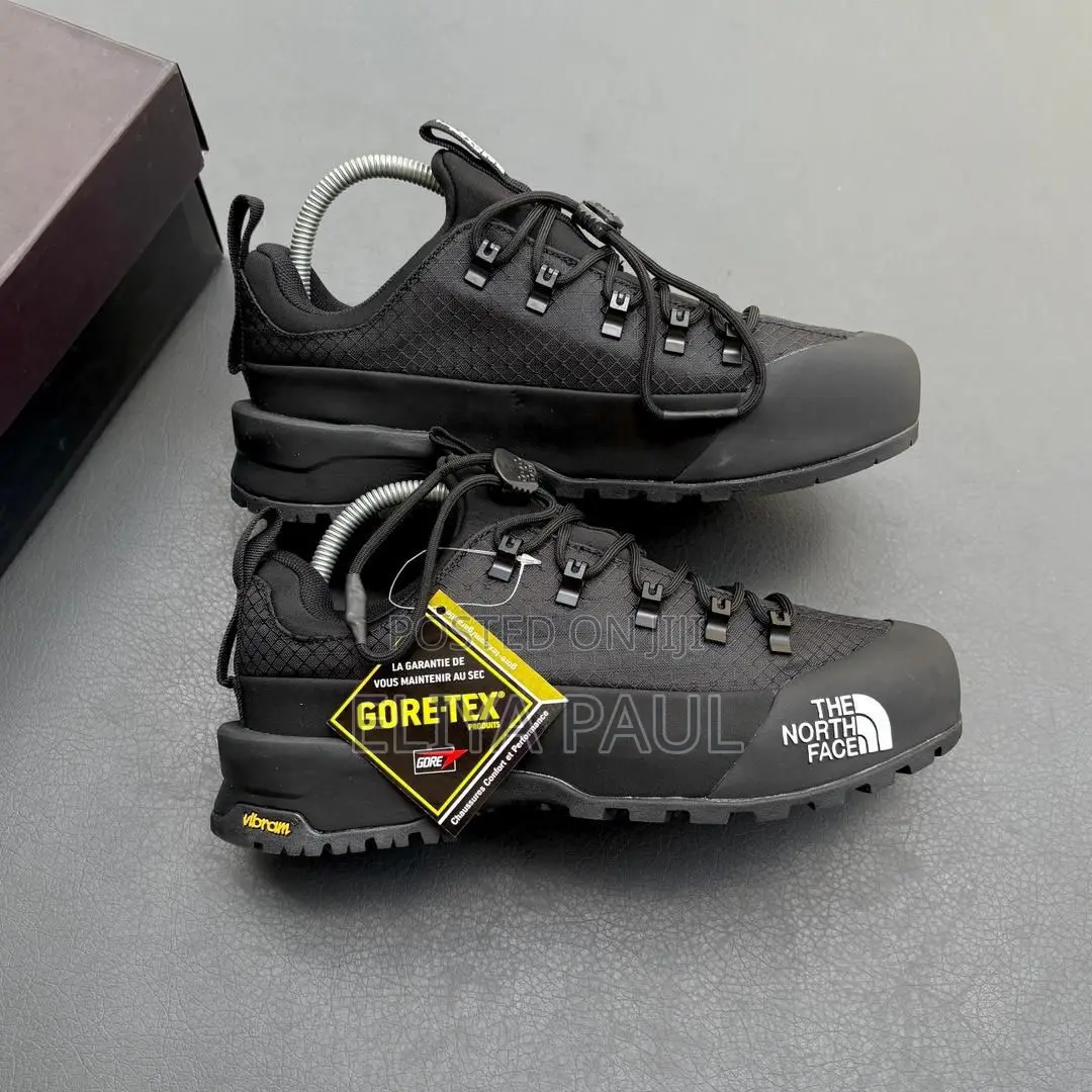 Northface Hedgehog Gore Tex