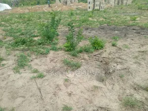 Kiwanja Kinauzwa Mlandizi Kwa Mama Samia (Industrial Area)