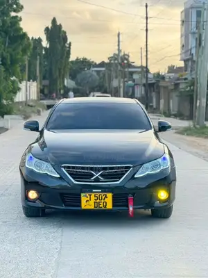 Toyota Mark X 2009 Black
