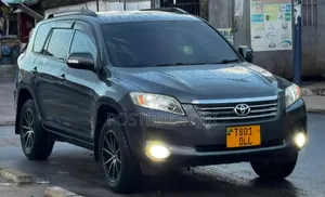 Toyota Vanguard 2009 Gray