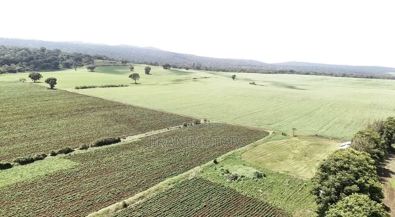 Agricultural Investment Farms for Sale in Ol Molog, West Kilimanjaro