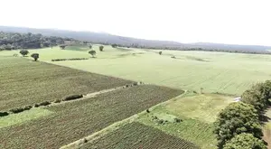 Agricultural Investment Farms for Sale in Ol Molog, West Kilimanjaro