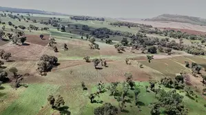 Agricultural Investment Farms for Sale in Ol Molog, West Kilimanjaro