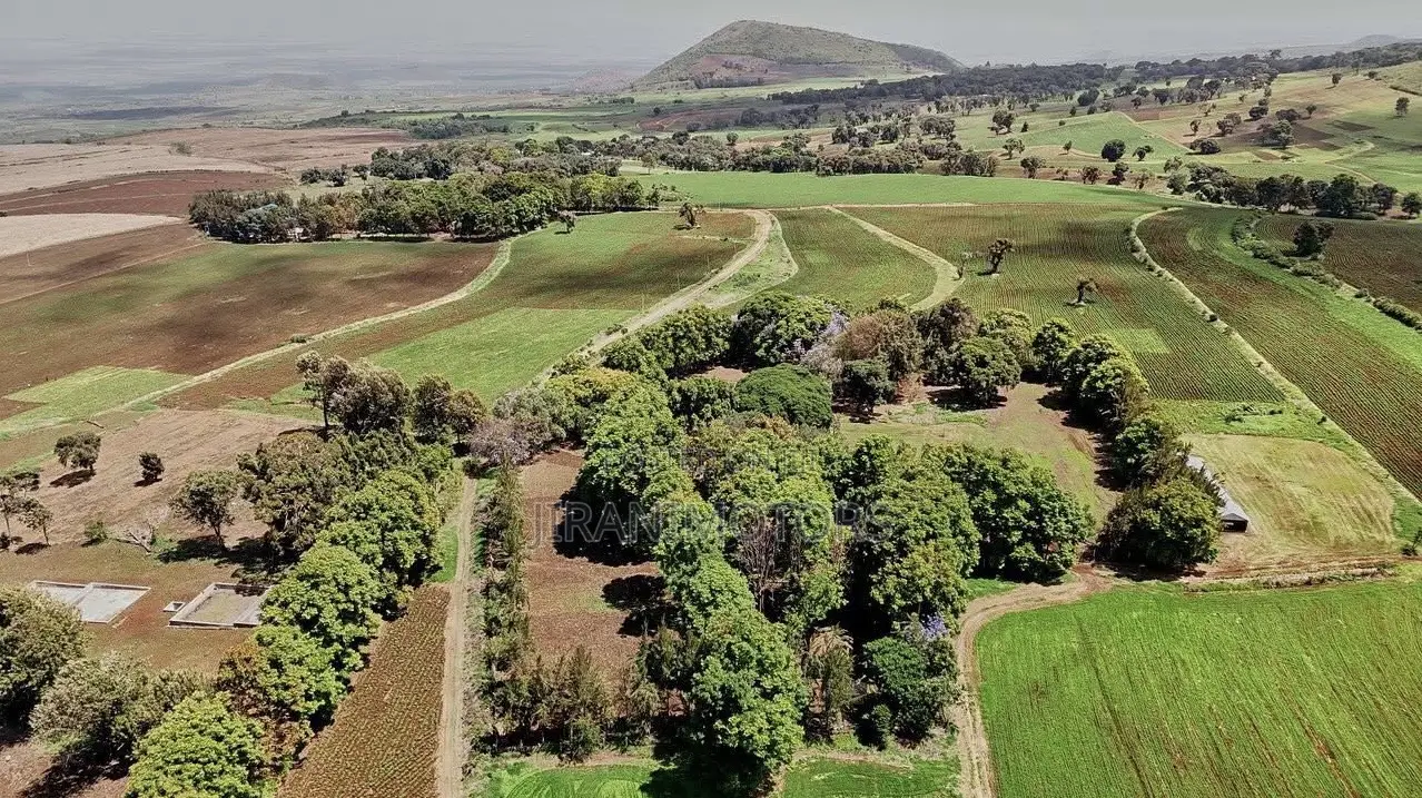 Agricultural Investment Farms for Sale in Ol Molog, West Kilimanjaro