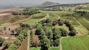 Agricultural Investment Farms for Sale in Ol Molog, West Kilimanjaro