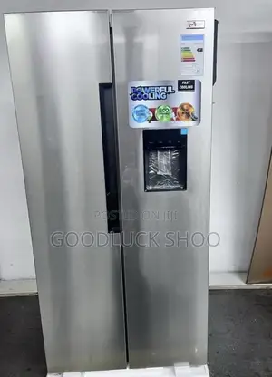 Side by Side Refrigerator With Water Dispenser 450l (Asbs-43wd).