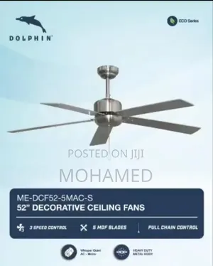 Decorative Ceiling Fan