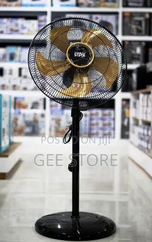 Electric Floor Fan