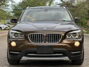 BMW X1 2013 Brown