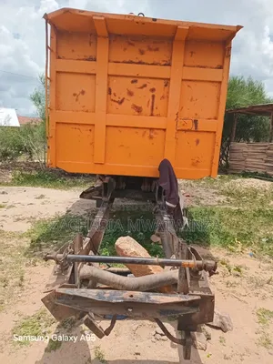 Tipper Shackman 2012 Yellow