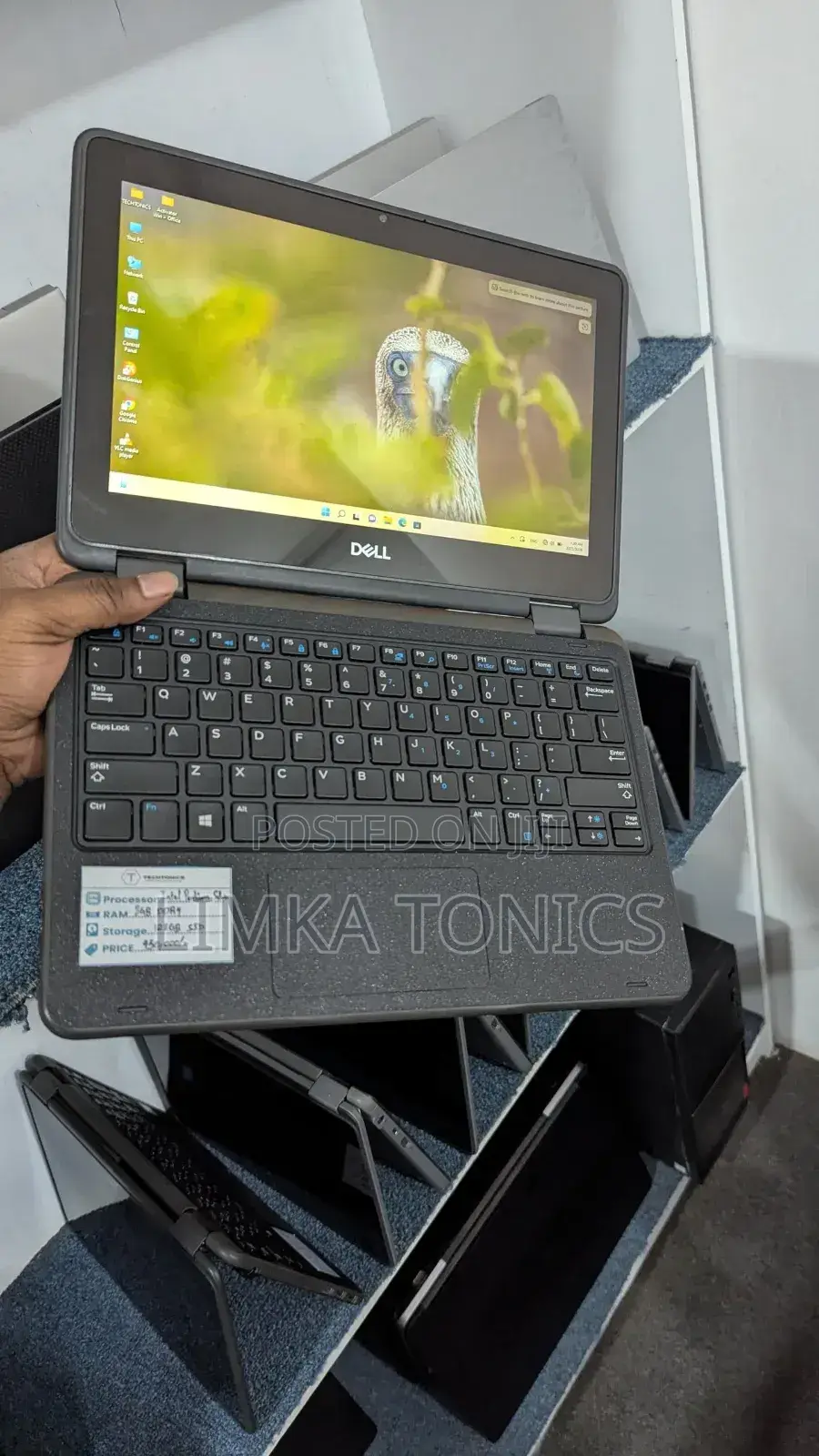 New Laptop Dell Latitude 11 3190 4GB Intel Pentium SSD 128GB