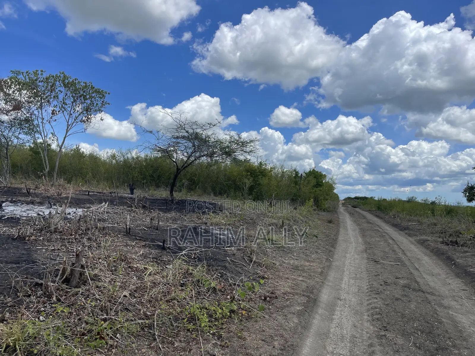 Shamba Linauzwa Kiwangwa Hekari 12