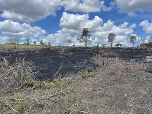 Shamba Linauzwa Kiwangwa Hekari 12