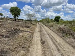 Shamba Linauzwa Kiwangwa Hekari 12